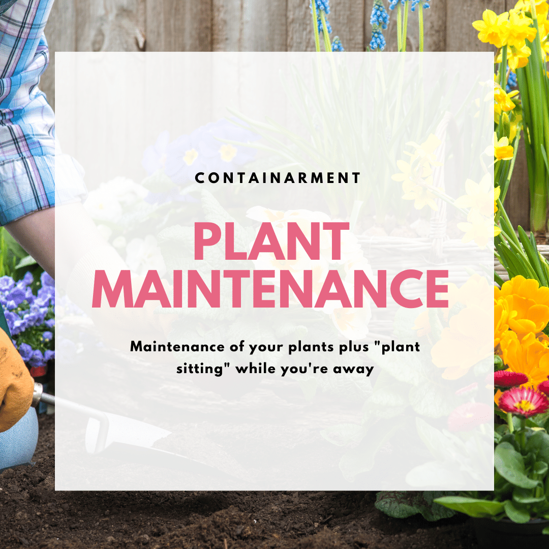 Plant maintenance for your gardens